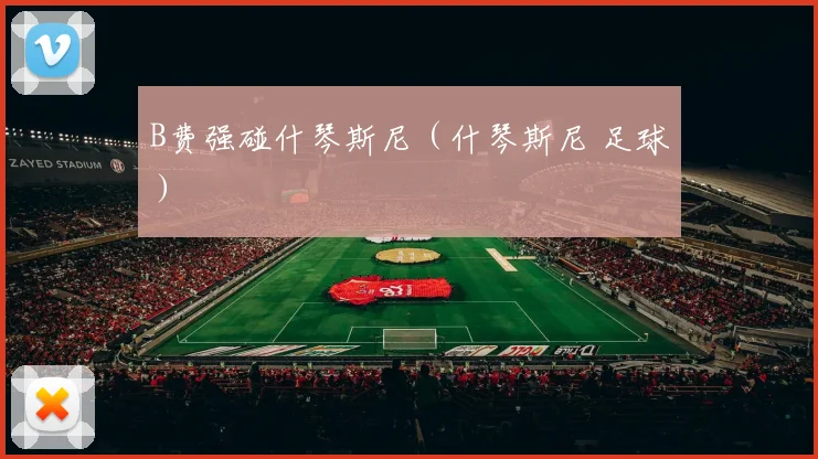 B费强碰什琴斯尼（什琴斯尼 足球）