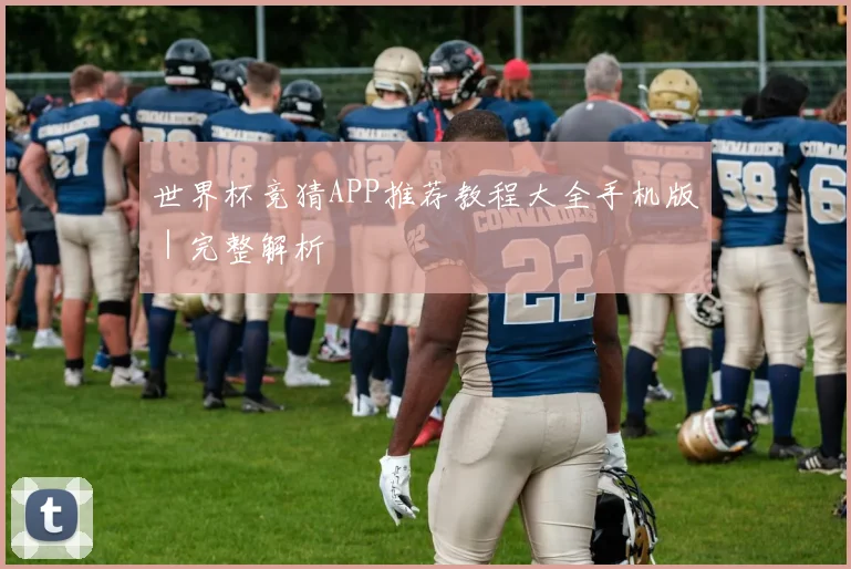 世界杯竞猜APP推荐教程大全手机版｜完整解析
