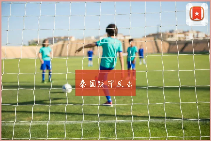 泰国防守反击