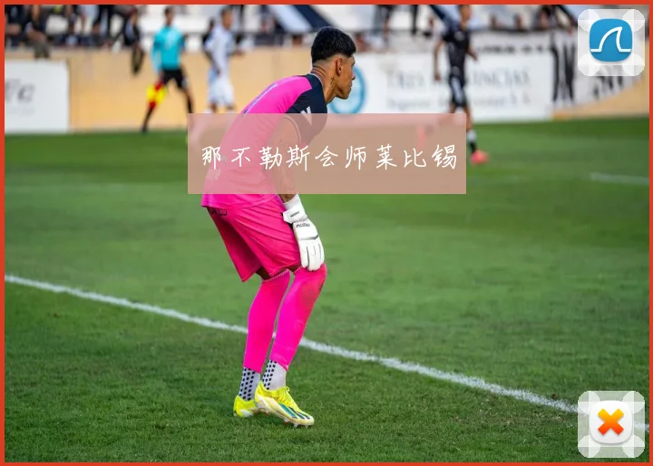 那不勒斯会师莱比锡