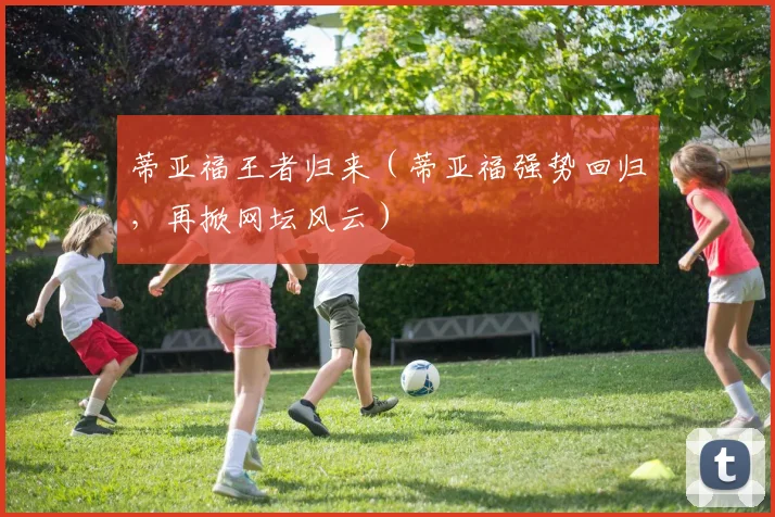 蒂亚福王者归来（蒂亚福强势回归，再掀网坛风云）