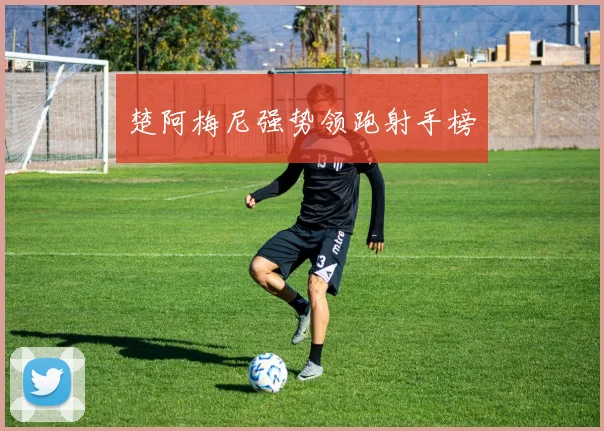 楚阿梅尼强势领跑射手榜